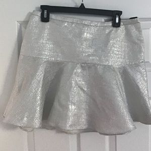 Express size 10 skirt